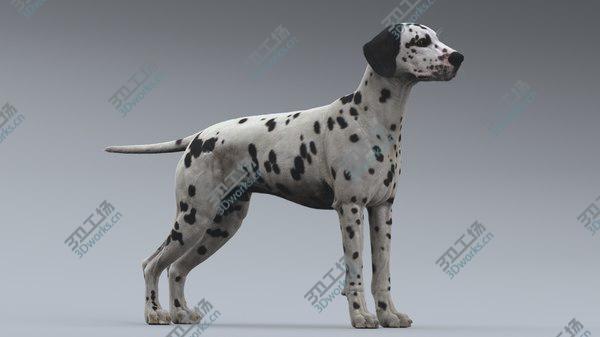 images/goods_img/20210312/Dalmatian 3D model/5.jpg
